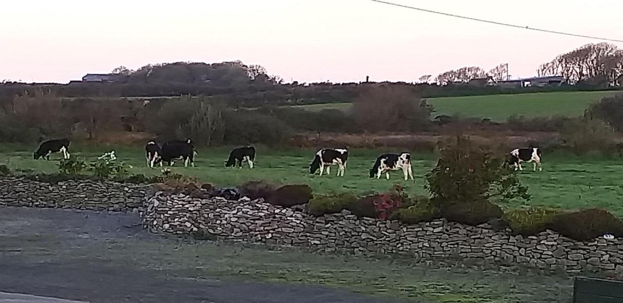 Murphys Irish Farmhouse Tralee Exteriör bild